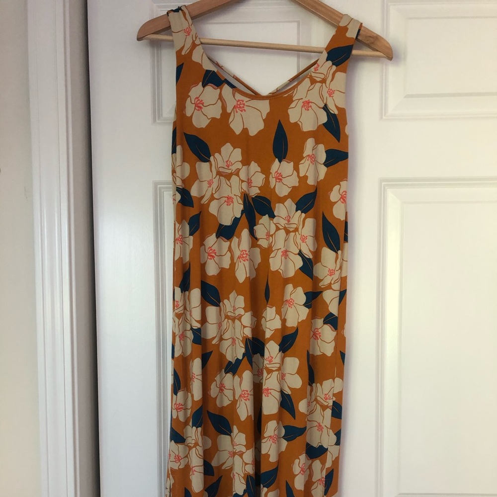 Fighting Eel Dress Primo XS